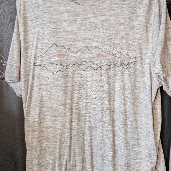 Icebreaker Tshirts (5) Large - Picture 6 of 11